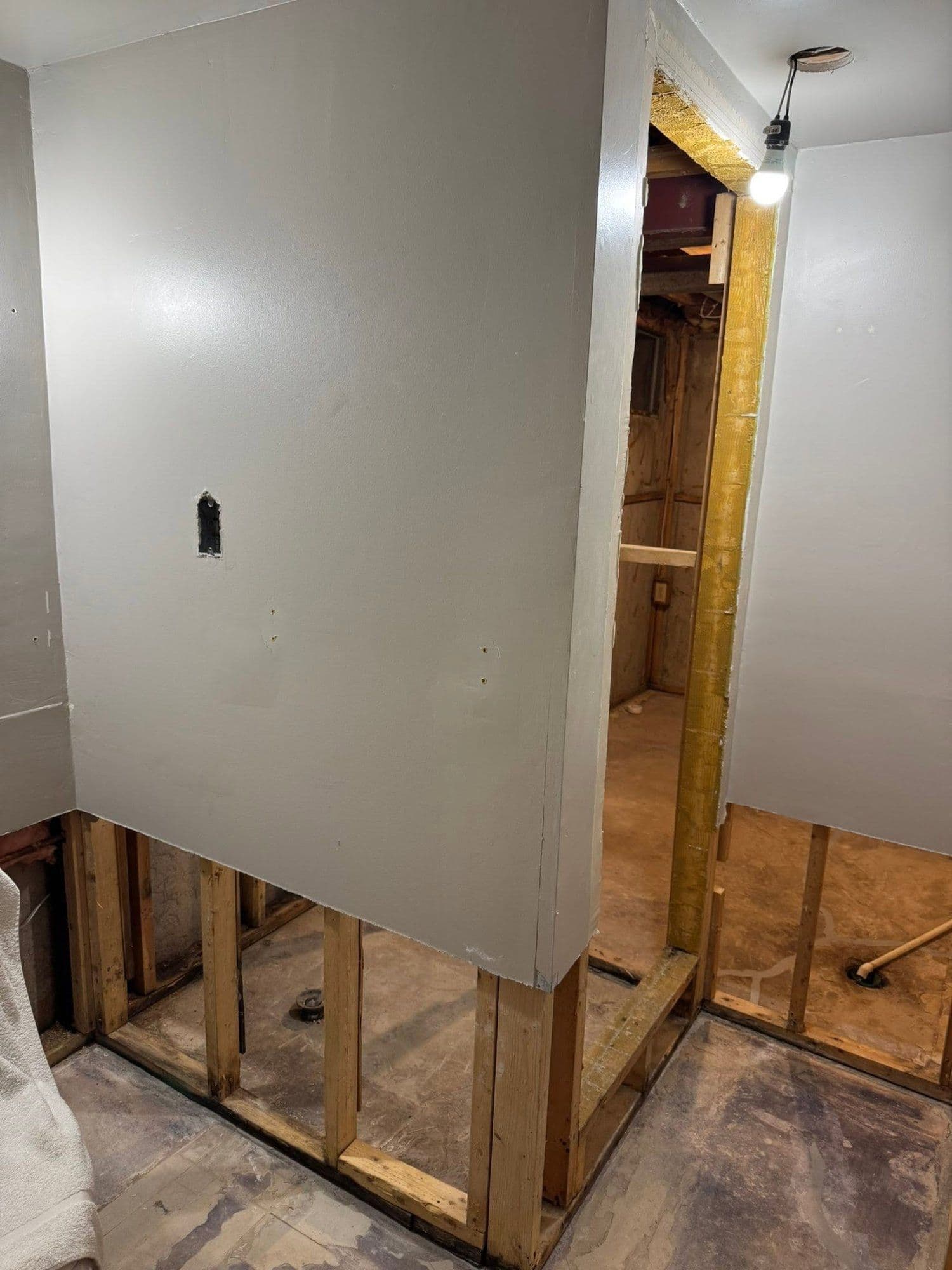 Bathroom gutted to the studs during renovation