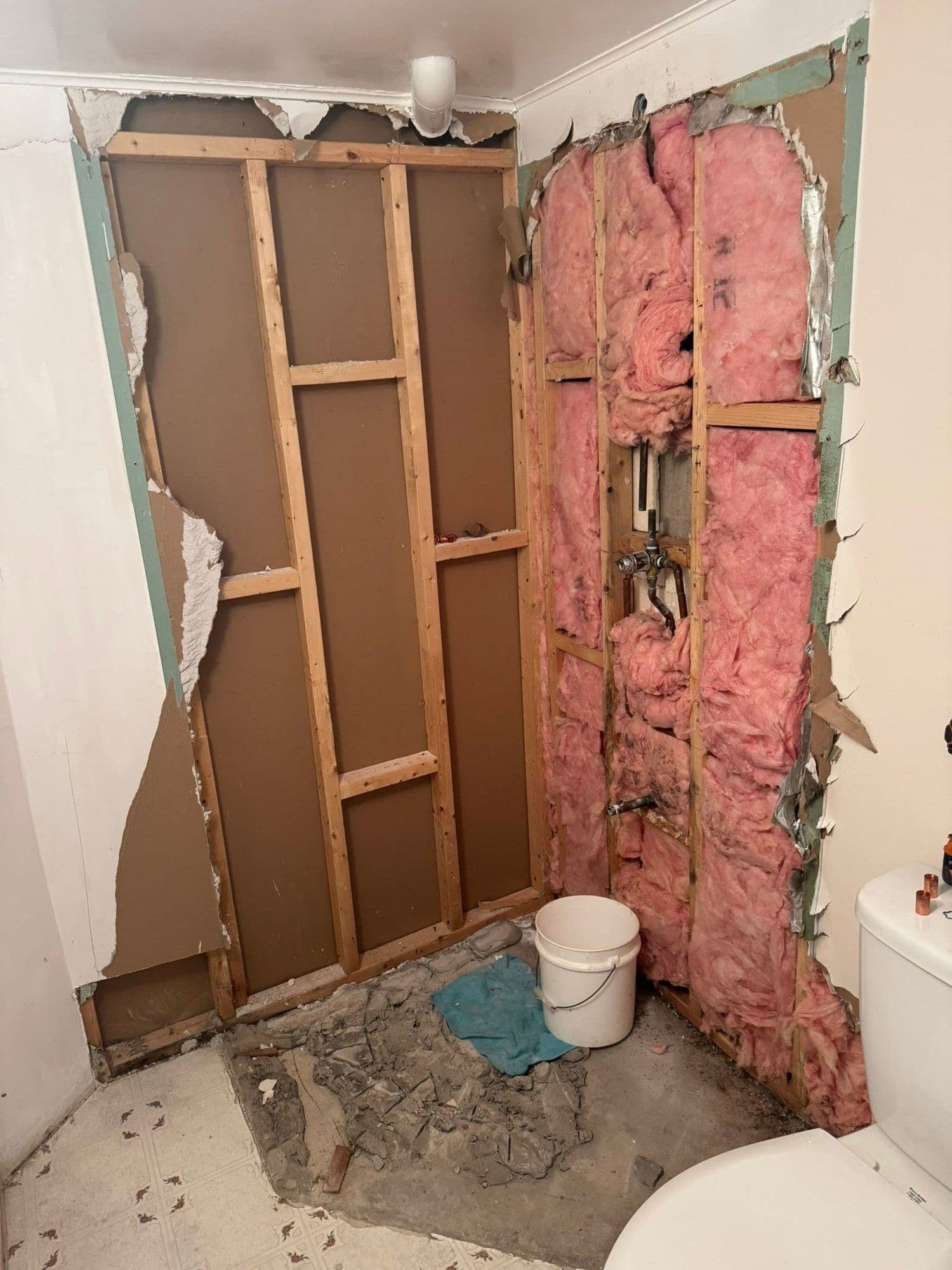 Bathroom demolished to the studs